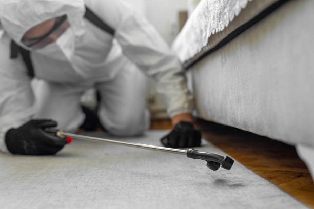 Professional Cockroach Control technician working in Ford Heights, IL