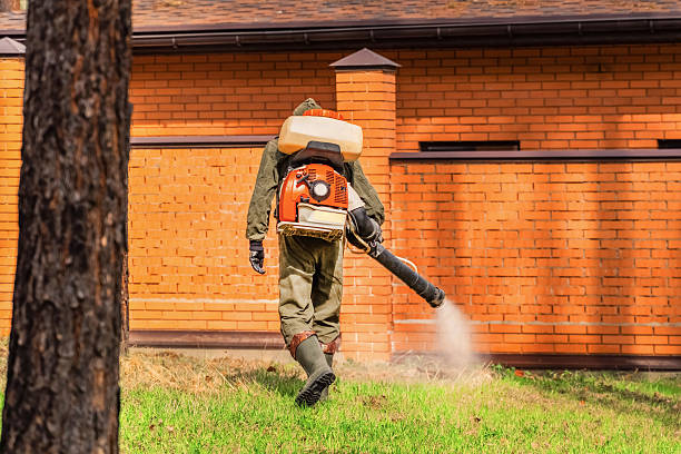 Trusted Cockroach Control service in Ford Heights, IL - Nex Pest Control